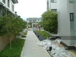 The Teneriffe (D10), Terrace #112658062